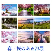 雪の桜や古民家、夜桜など多彩な春の風景写真が並ぶサムネイル画像。商用OK・登録不要で使えるおしゃれな無料フリー素材集ページへのリンクバナー。